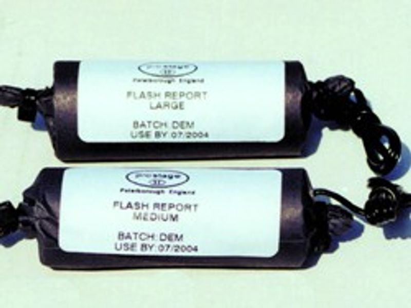 Flash Report No.3